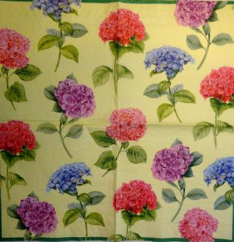 074 Hydrangeas - 3-ply (cream) - Ihr